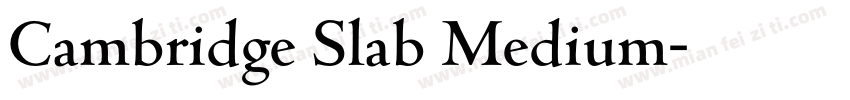 Cambridge Slab Medium字体转换